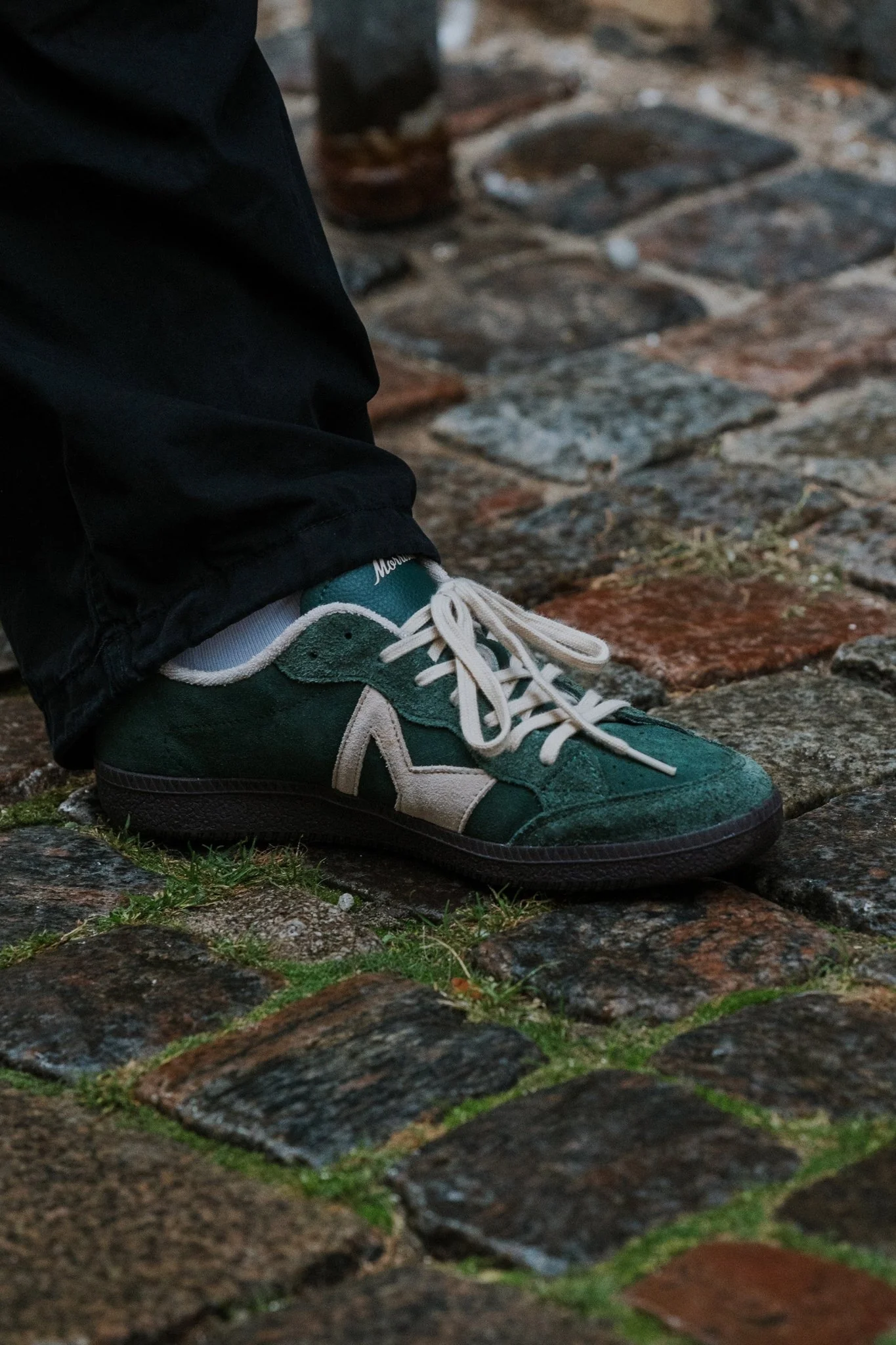 Moss - Image 5