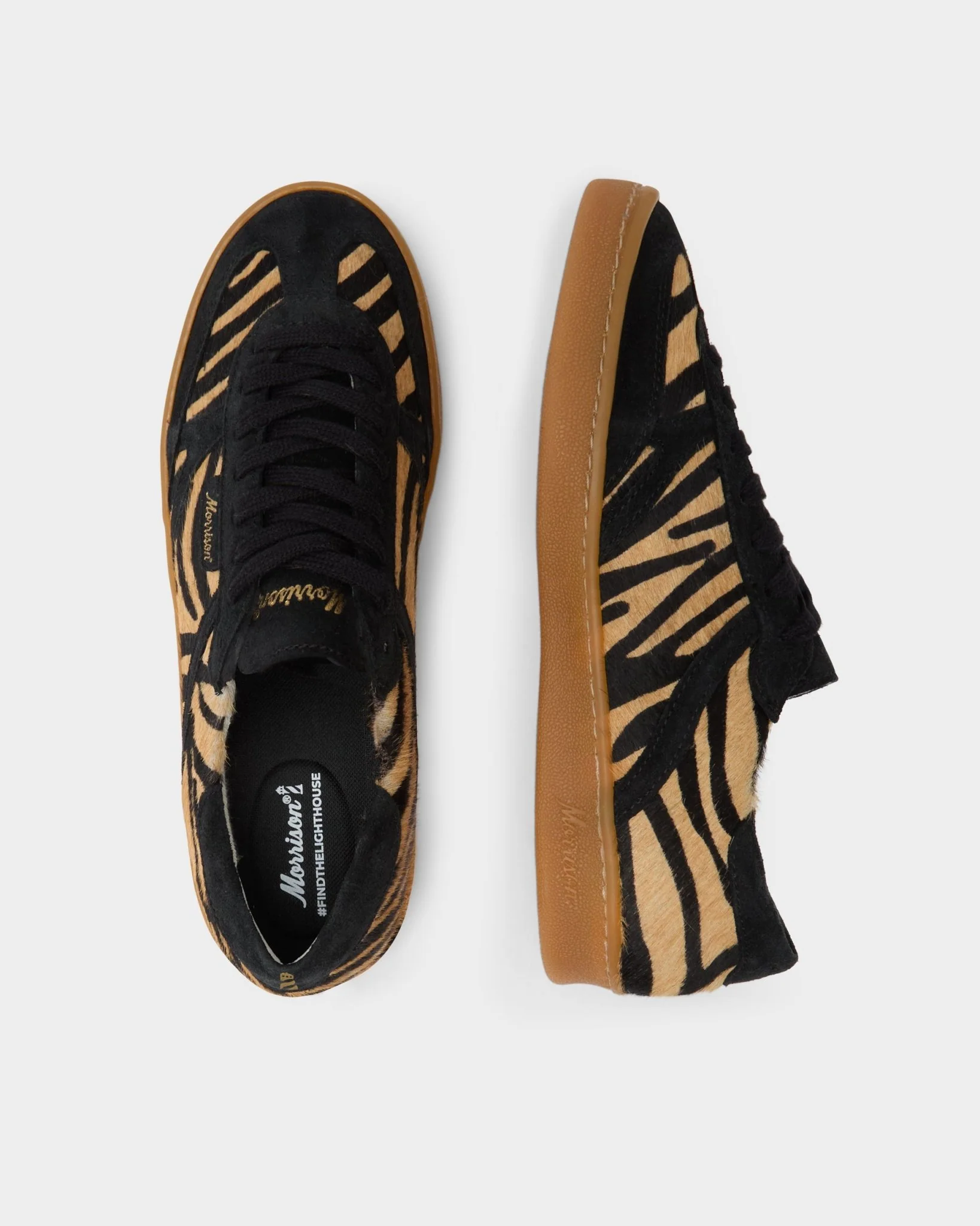 Zebra - Image 5
